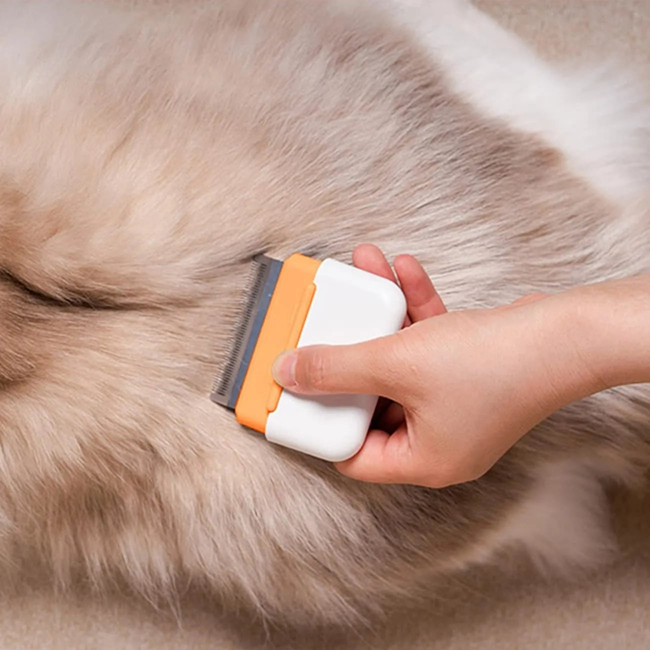 Blue dual-sided pet grooming comb for deshedding cats and dogs, showing stainless steel teeth.