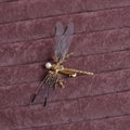 Golden dragonfly side clip headdress hair accessory with alloy construction and electroplated finish
