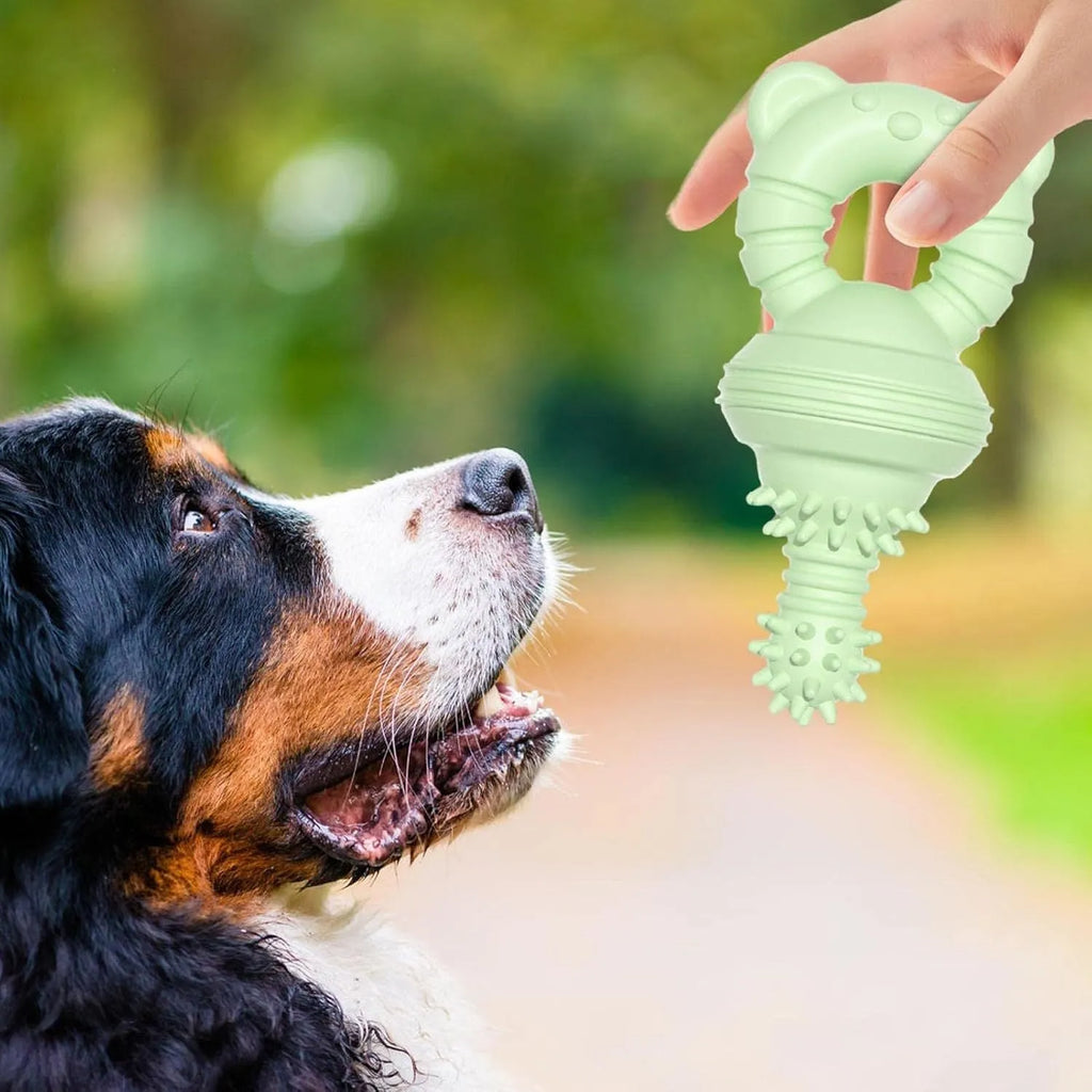 Blue rubber bell-shaped dog chew toy with textured surface for teeth cleaning