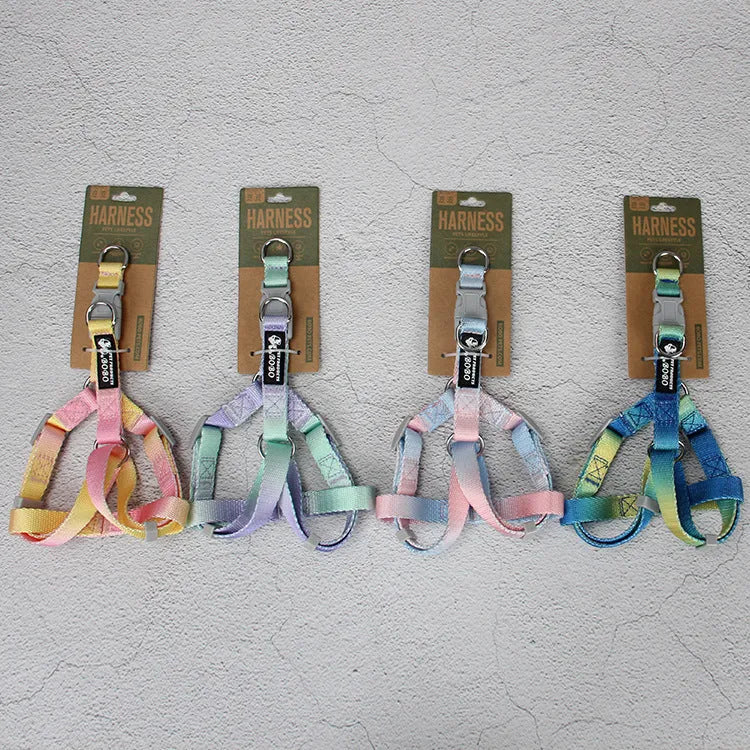 Gradient colour nylon dog leash set with collar, bracelet, and chest strap options in pink/yellow and purple/green combinations