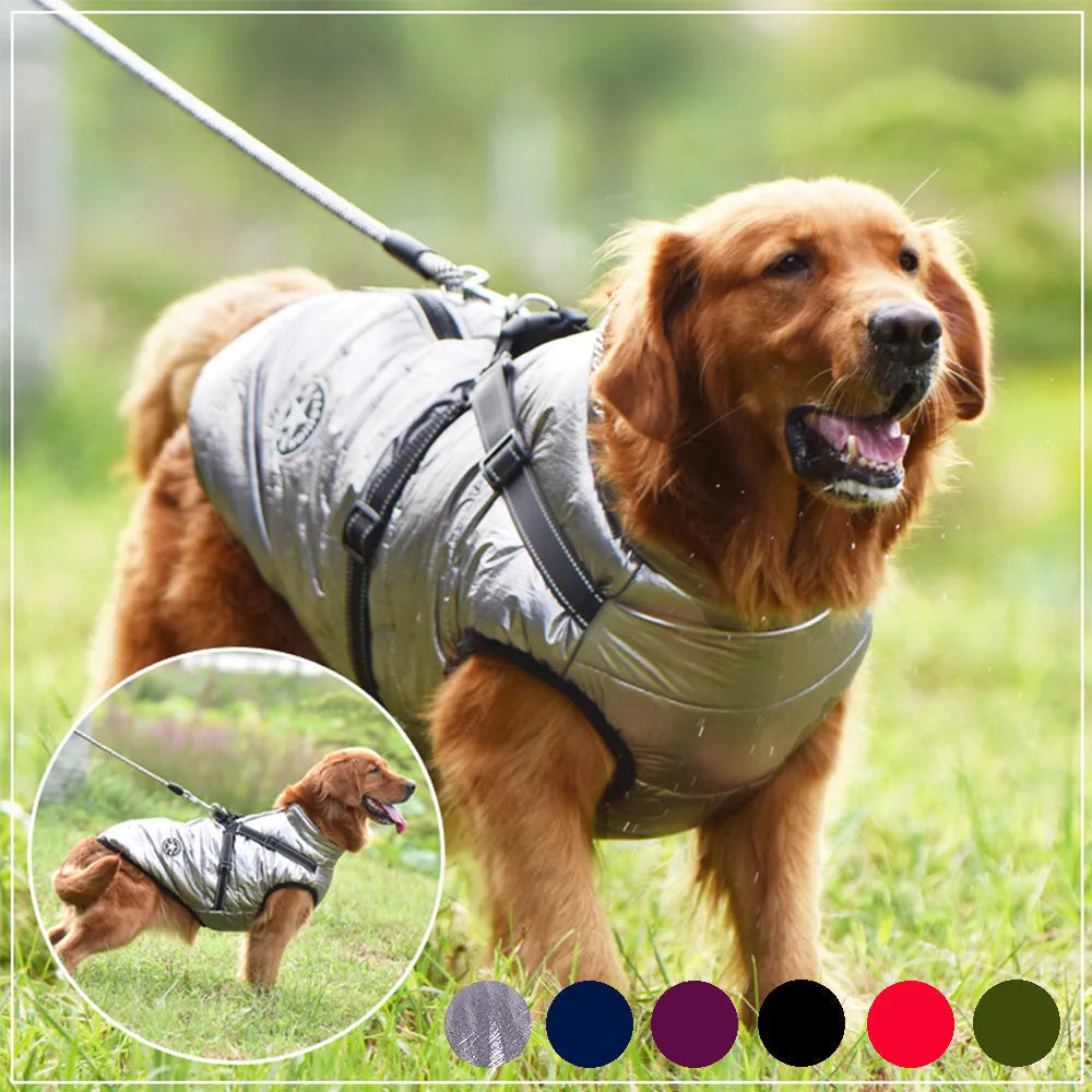 Red waterproof dog coat with integrated harness on a Labrador retriever