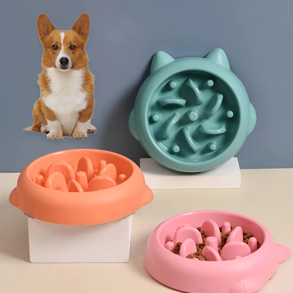 Green slow feeder dog bowl with raised bone-shaped ridges inside