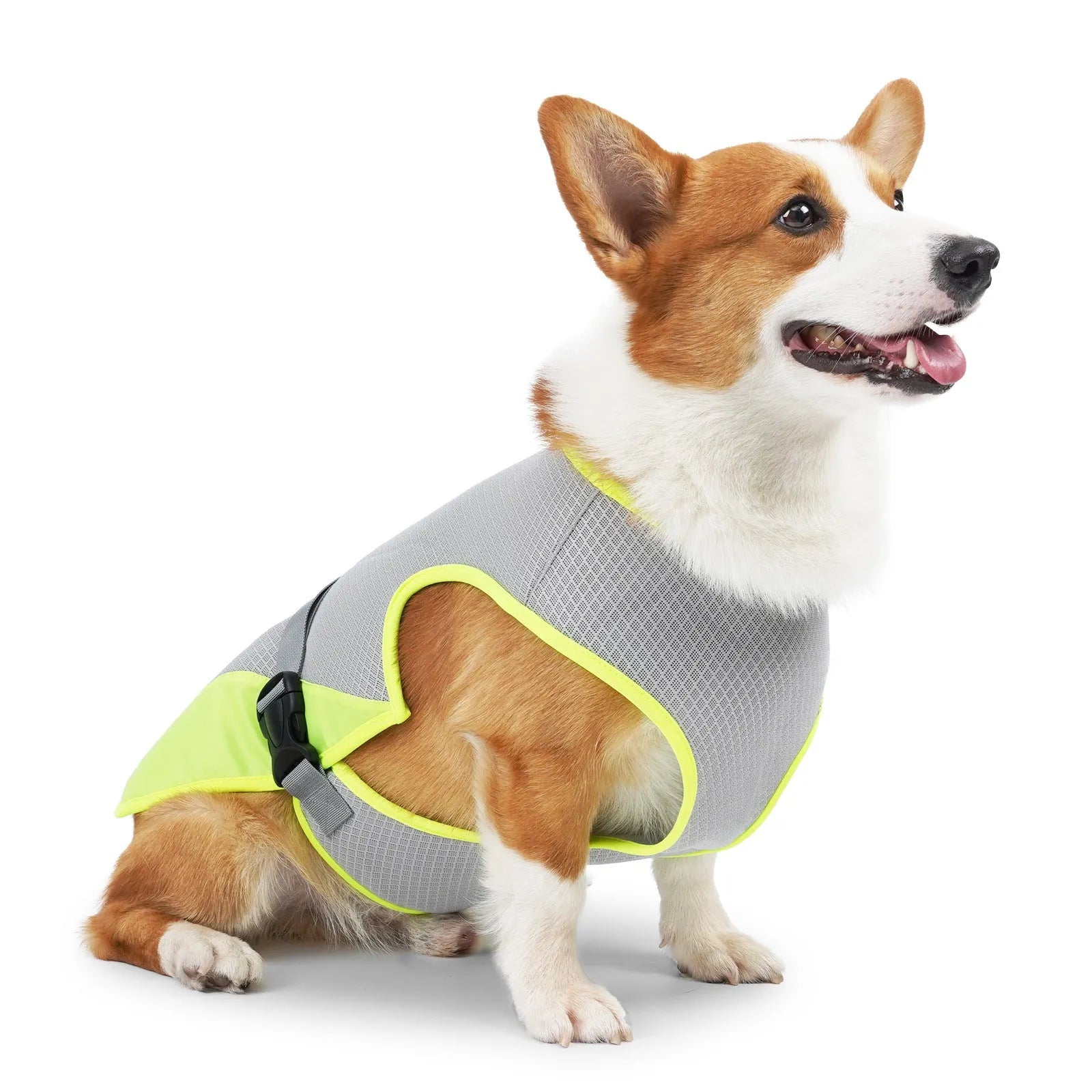 Polyester dog cooling vest in lake blue colour showing breathable fabric construction