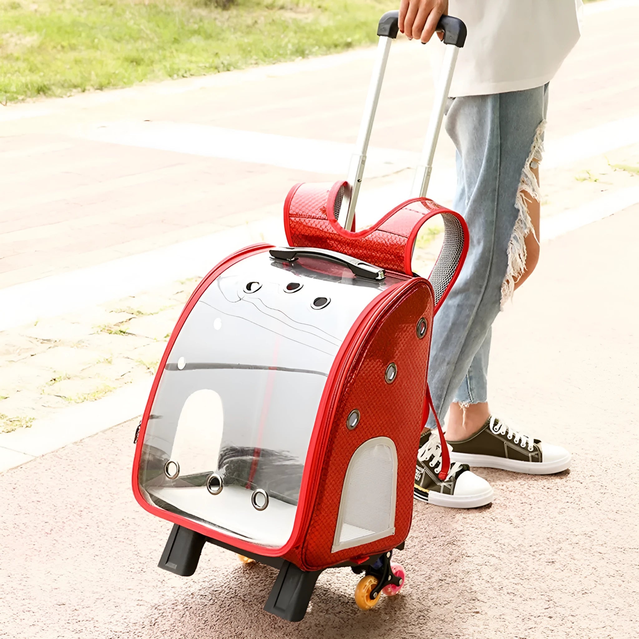 Transparent pet trolley bag with folding shoulder design in Oxford cloth with acrylic viewing cover