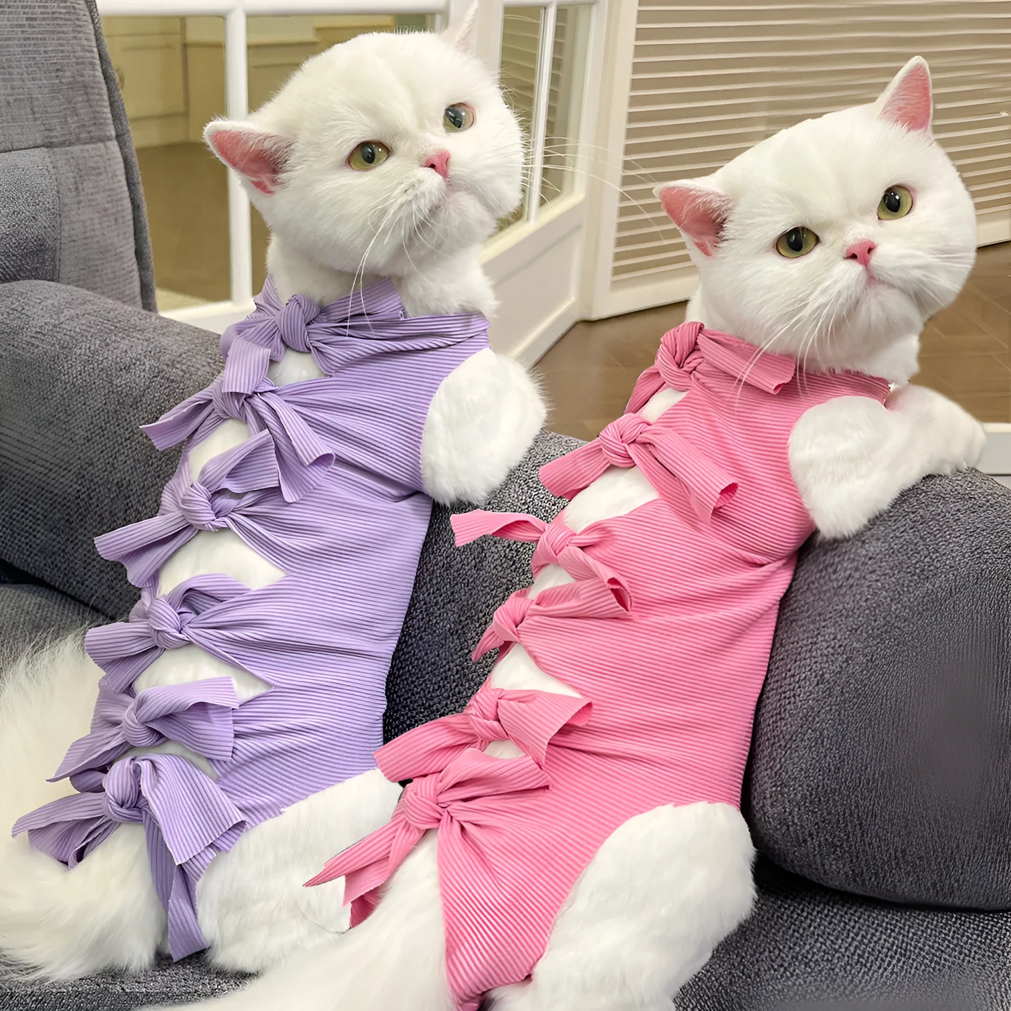 Adjustable lace-up polyester recovery vest for cat post-sterilisation care in multiple colour options