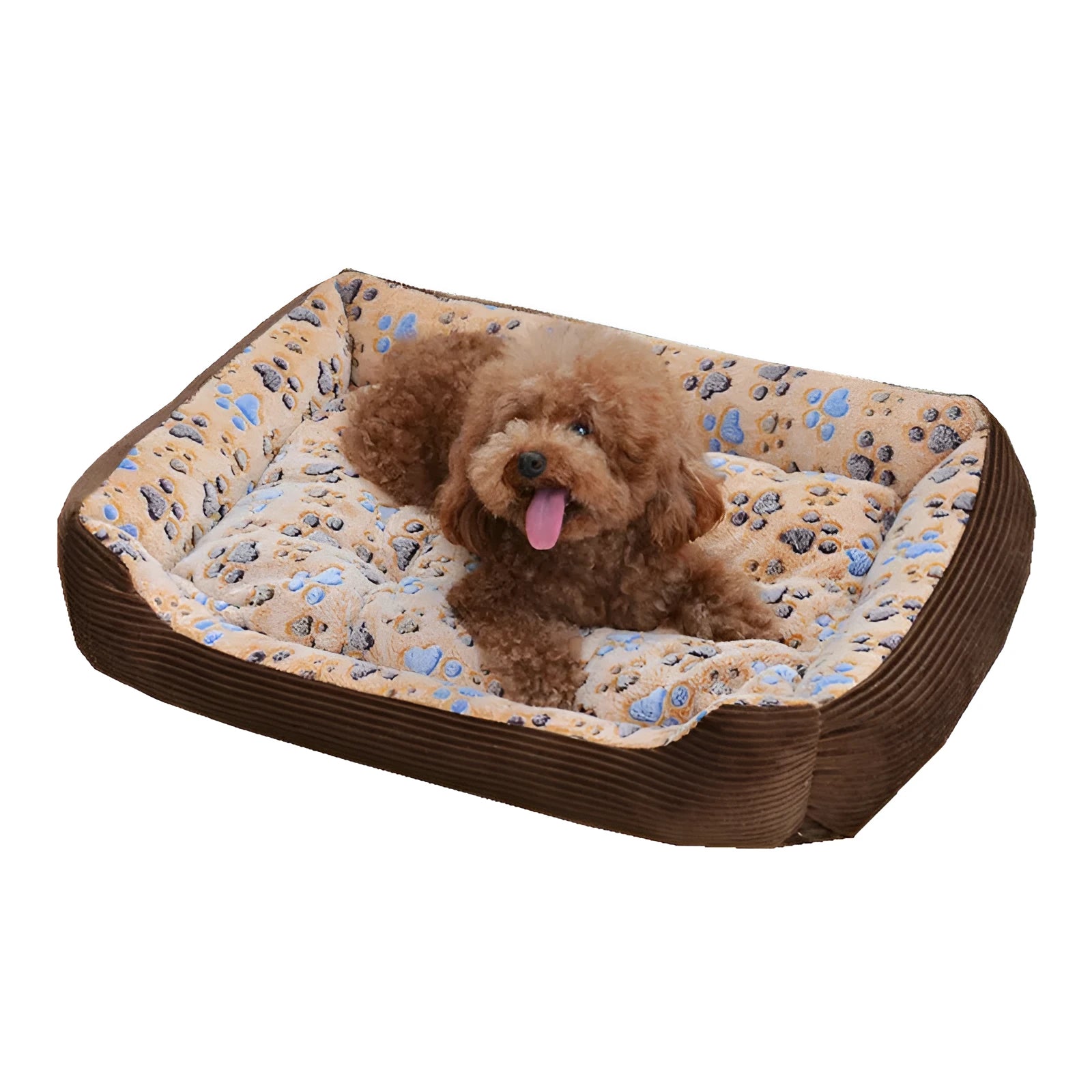 Orthopaedic foam dog bed with plush cover in beige, showing sofa-style raised edges and available in six sizes
