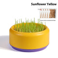 Blue, green, and yellow hydroponic cat grass kits with wheatgrass seeds on a white background.