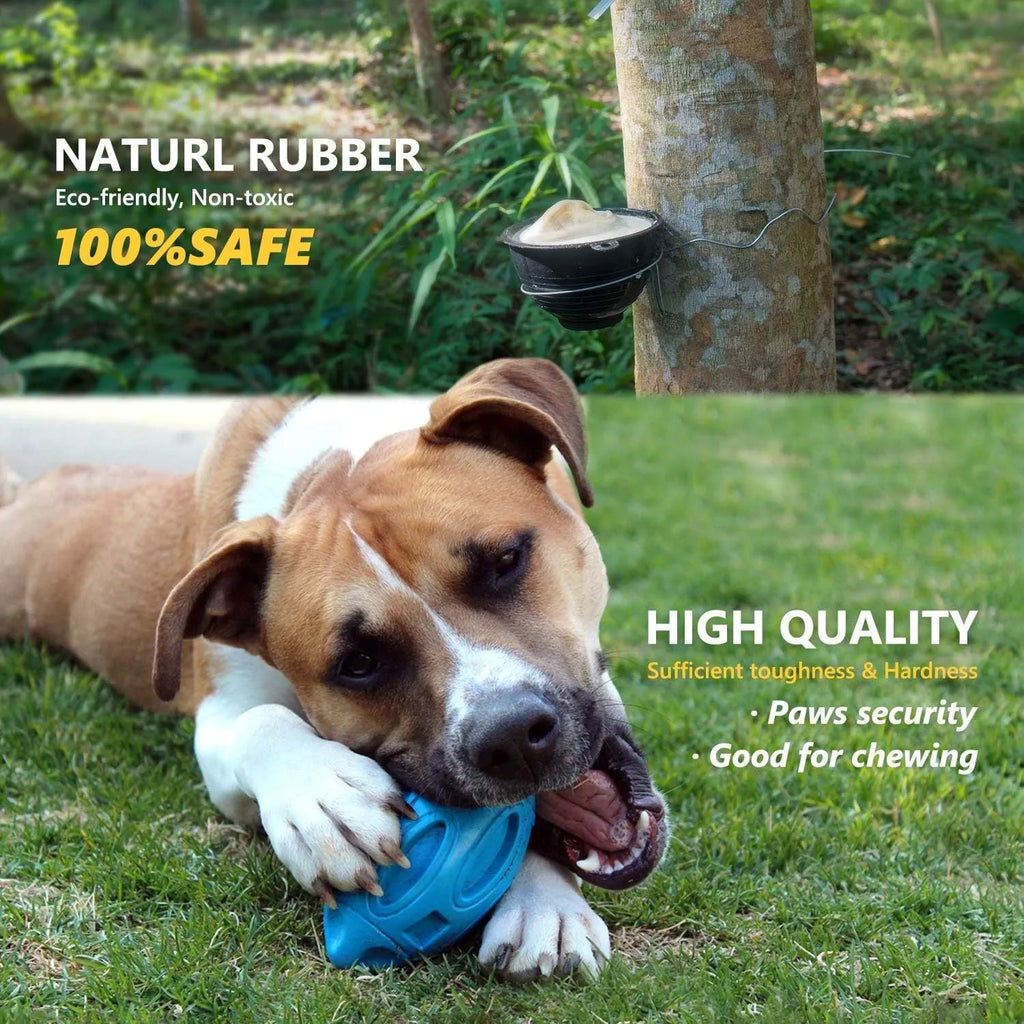 Blue natural rubber squeaky dog chew ball with surface grooves for medium and large breed dogs