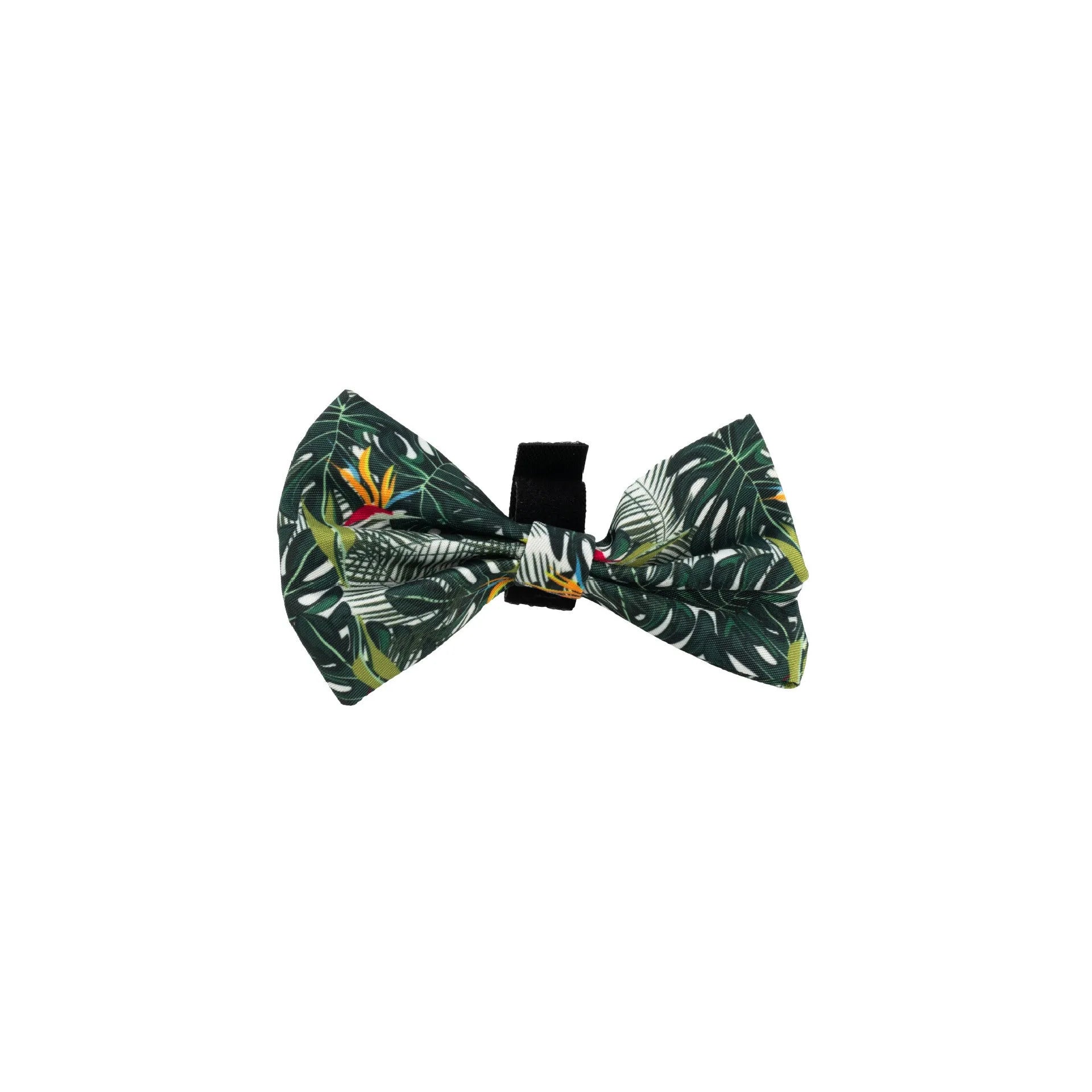 Six-piece adjustable cloth dog harness set with lead, collar, waste bag, bow tie, and scarf.