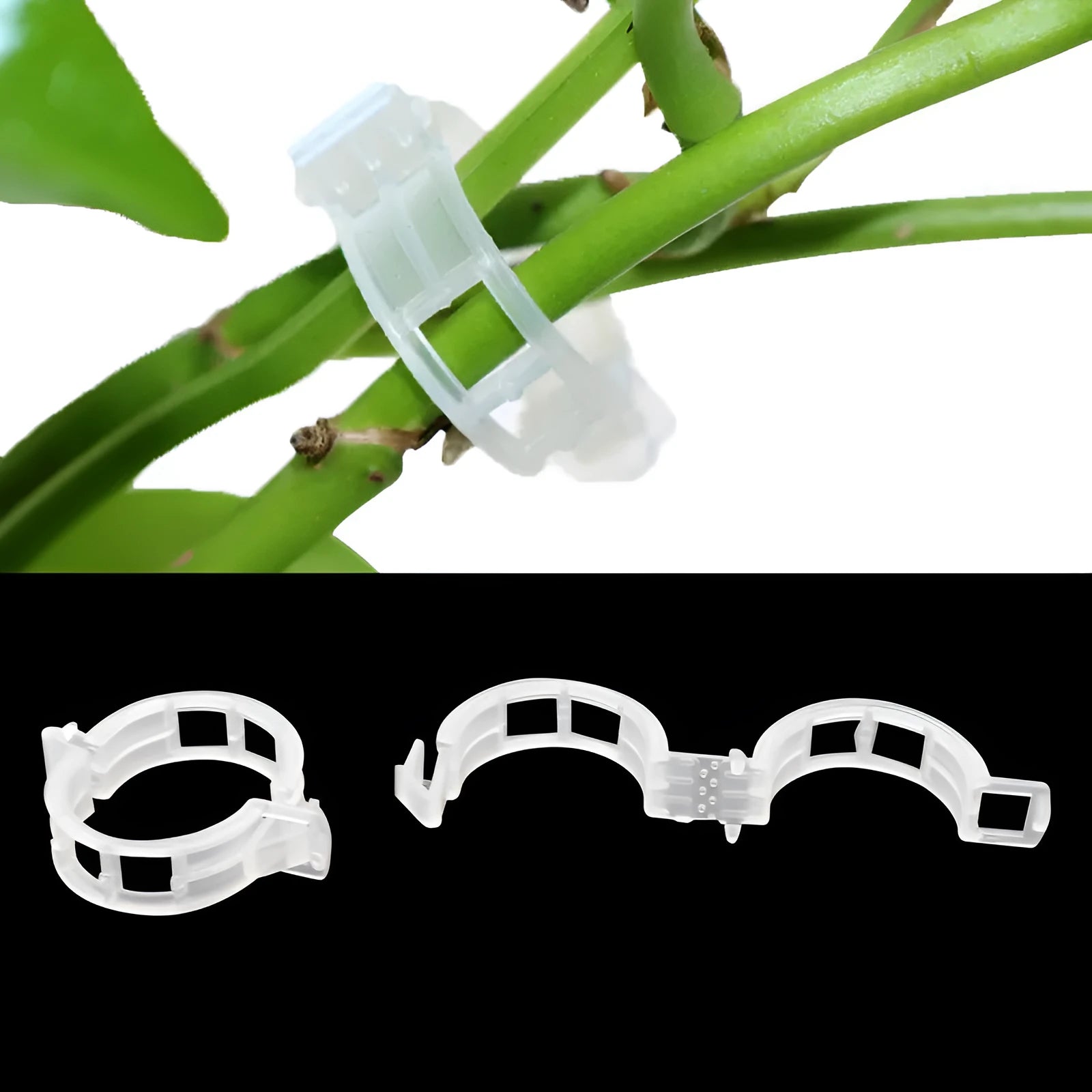 Pack of 50 plastic tomato plant grafting clips for garden use.