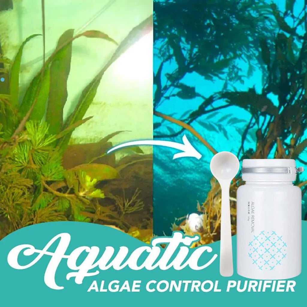 50g algaecide packet for swimming pool green water removal and black hair algae treatment safe for water grass
