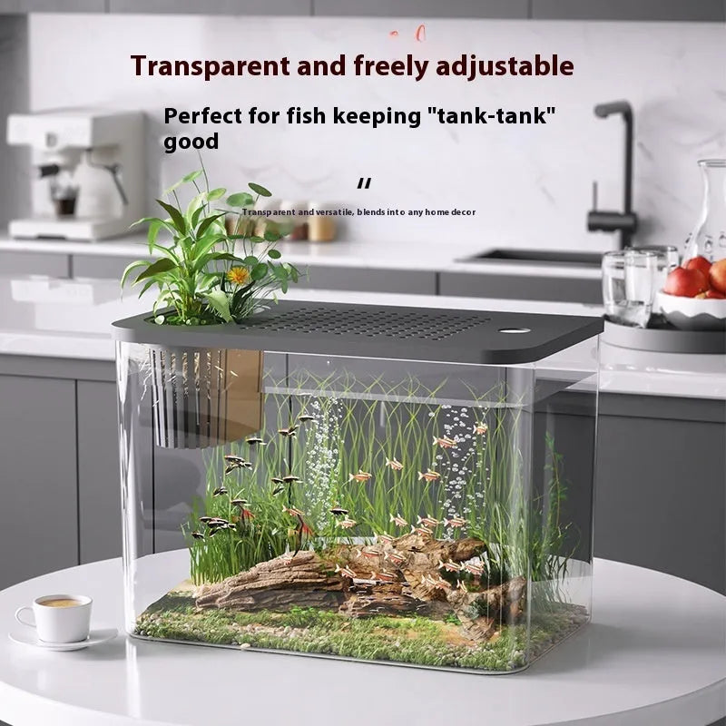 Black ecological betta fish tank with cover measuring 32cm long by 18.5cm wide by 23cm high