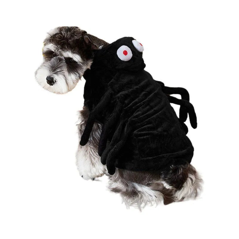 A dog wearing a black costume with a large red and white spider print on its back and sides.
