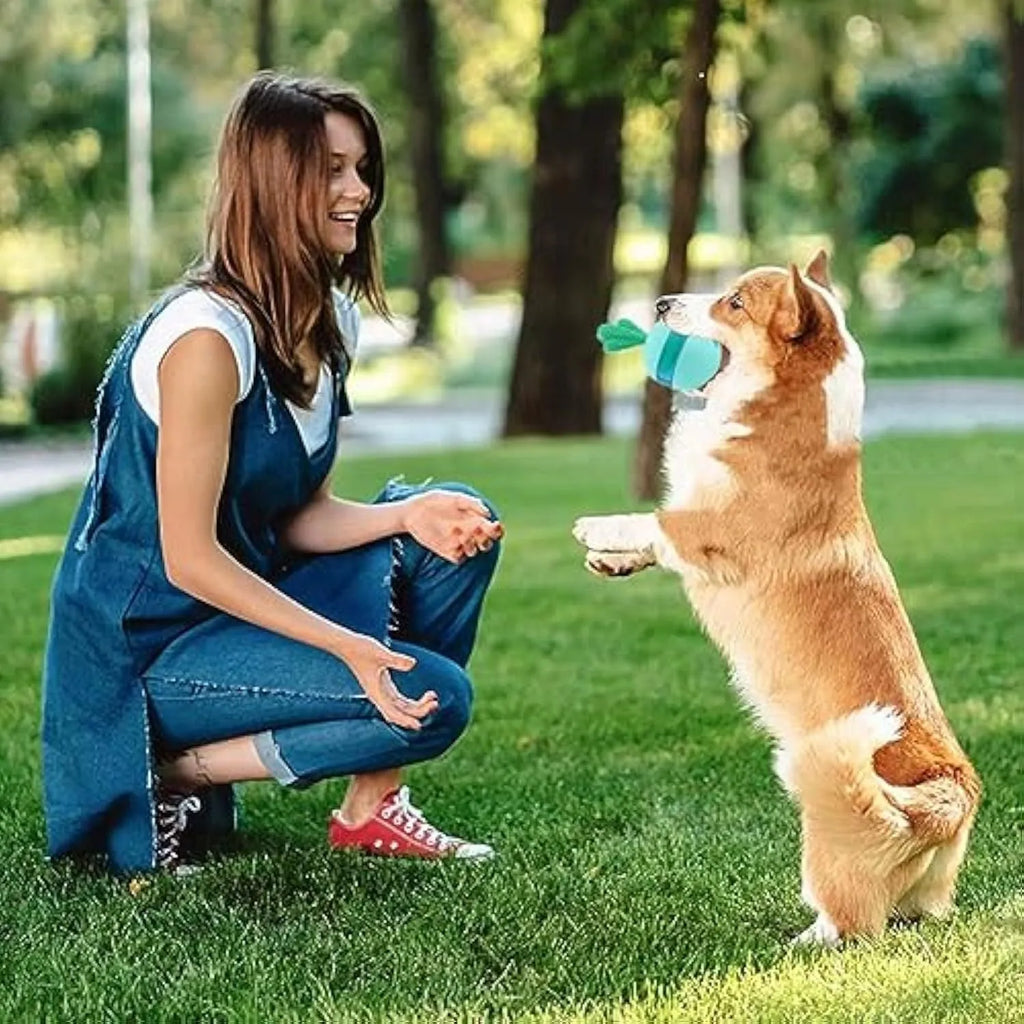 Blue durable rubber interactive dog treat dispensing puzzle ball toy for medium large dogs