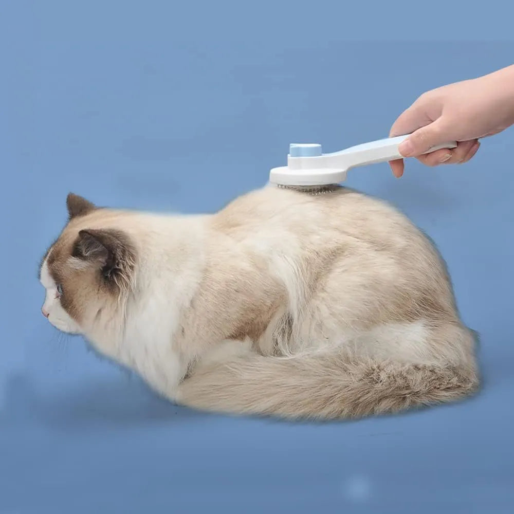 Blue self-cleaning cat brush with massage needles and rubber handle for pet grooming
