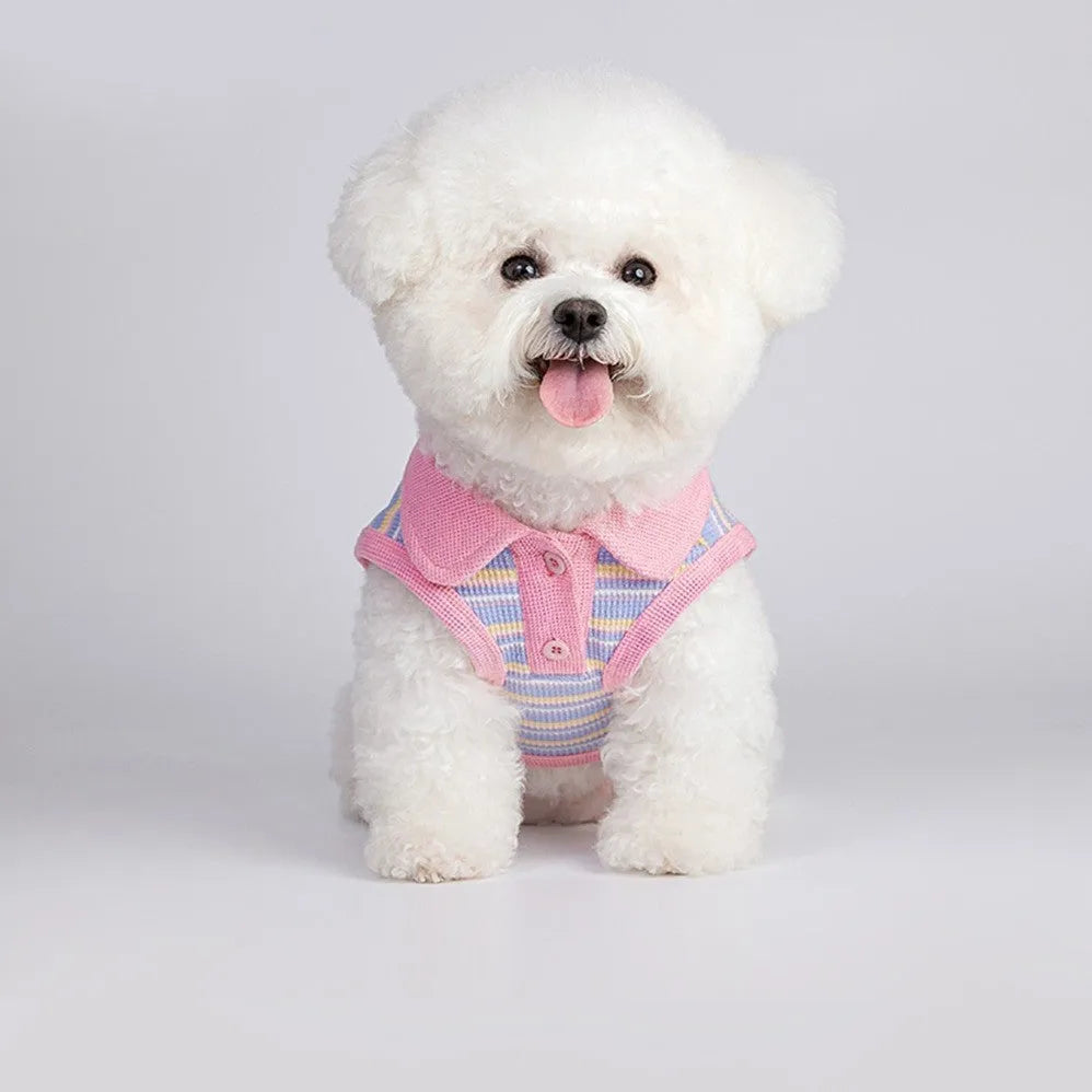 Pink purple autumn vest for a small dog or cat showing weight-based size tags from XXS to XXL.