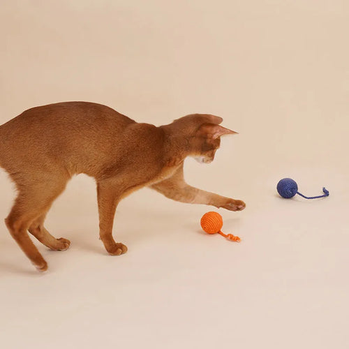 Interactive cat teaser stick toy set with fishing rod handle and four different toy attachments including catnip balls