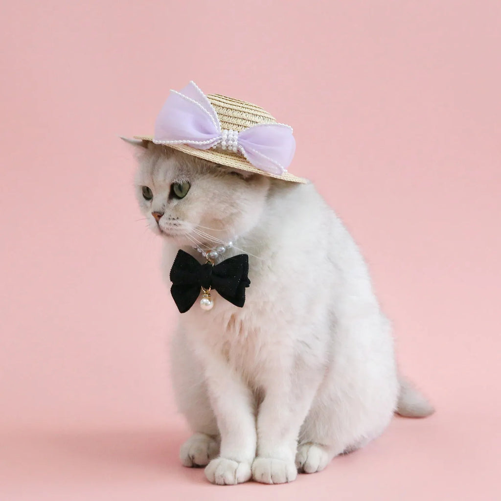 Princess-style cat hat with decorative pearl butterfly bow, woven from Lafite leaves.