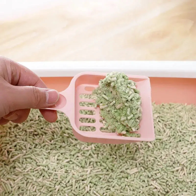 Blue plastic cat litter scoop for cleaning litter trays, 20cm long.