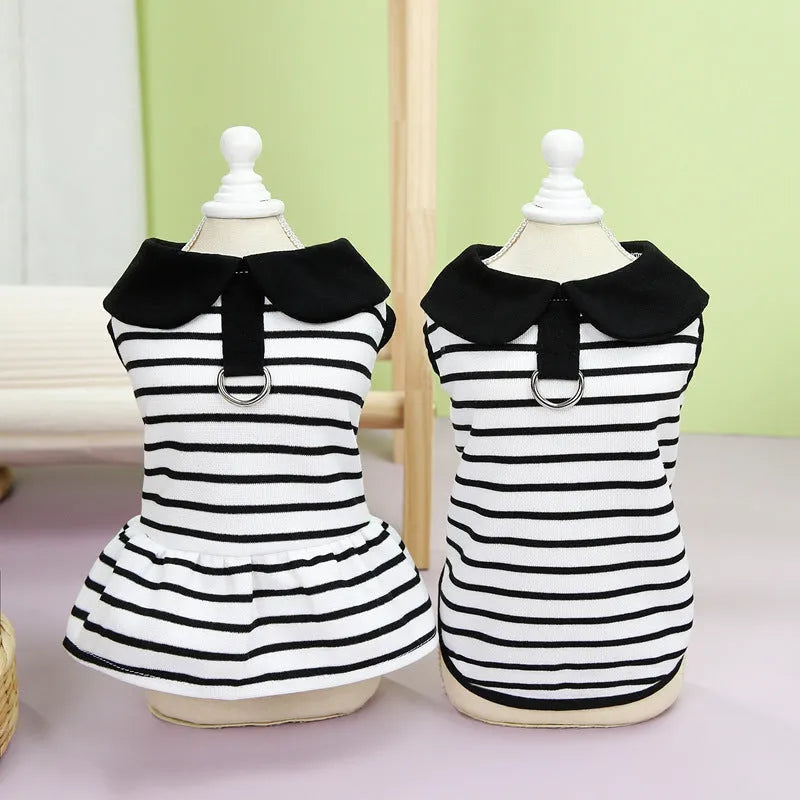 Pet wearing a striped cotton t-shirt and matching skirt summer outfit set