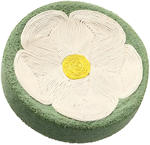 Green round cat scratcher bowl bed with sisal scratching surface measuring 39cm diameter