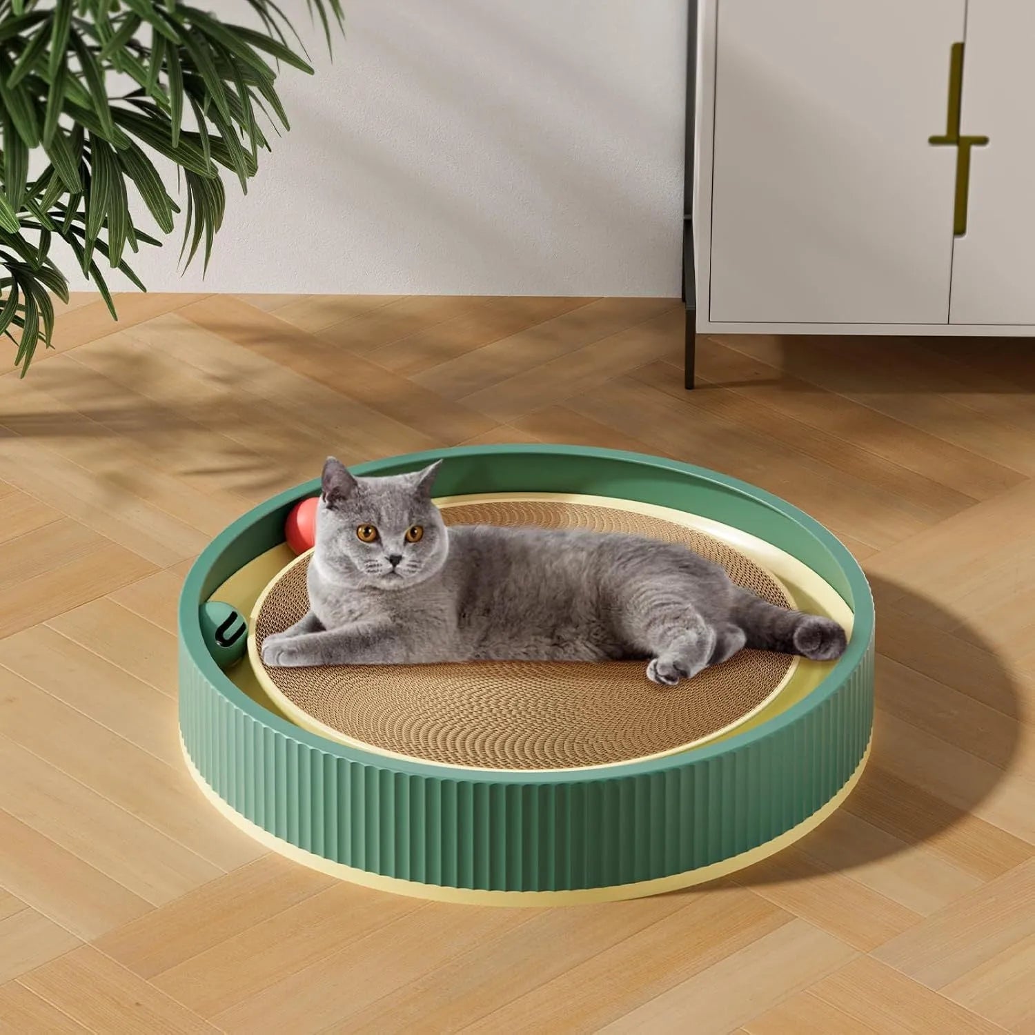 Large green circular cat scratching board with moving ball toys and spring-mounted plush ball
