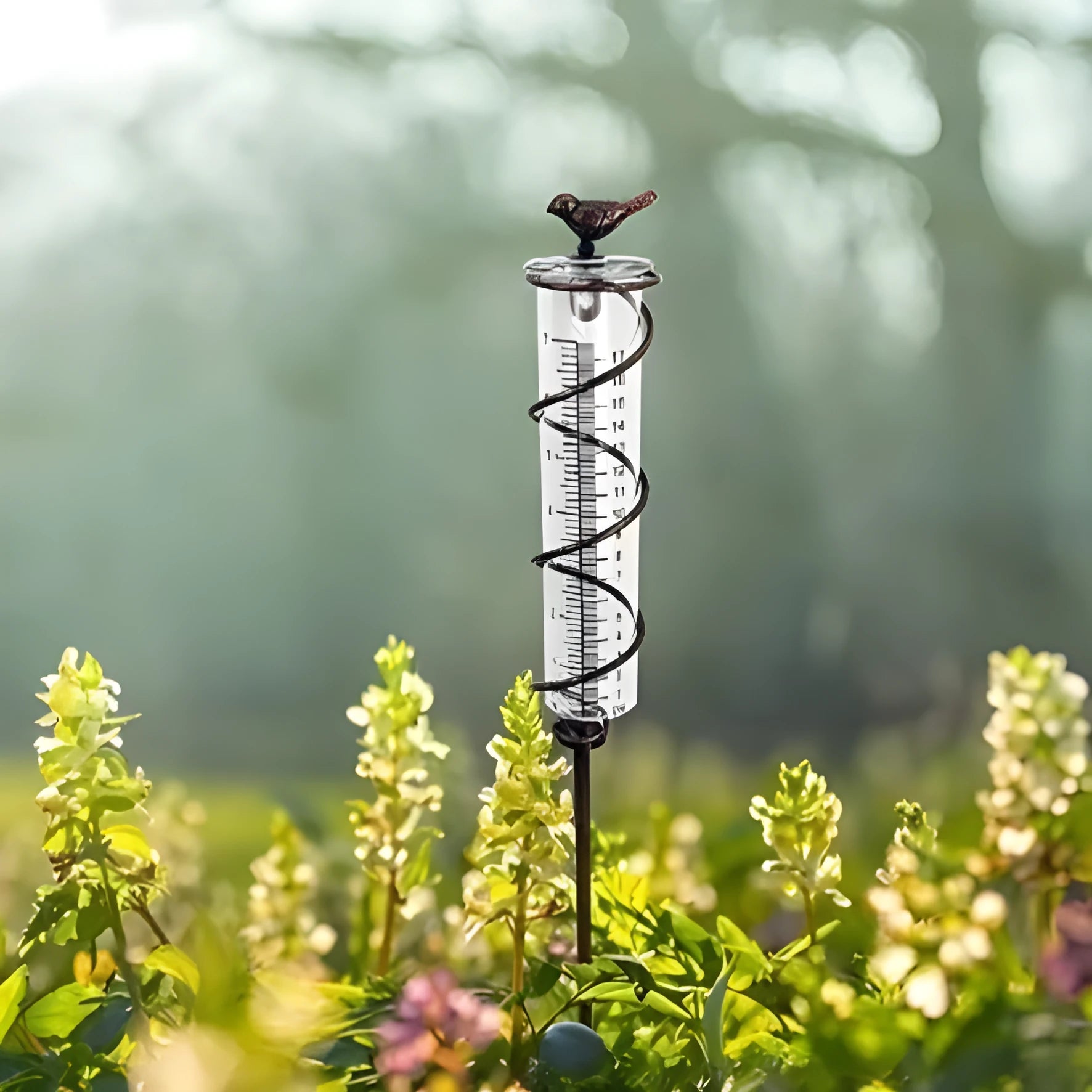 Cast iron bird garden rain gauge with glass measuring tube showing hummingbird design