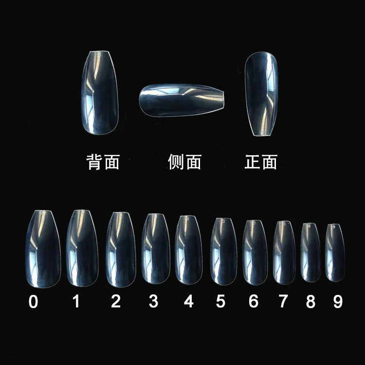 500 clear acrylic false nails in assorted sizes arranged next to application brush and bottle.