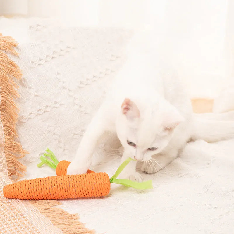 Assortment of cat toys including paper carrots, plastic ringing stones, and wooden grinding sticks on a plain background.