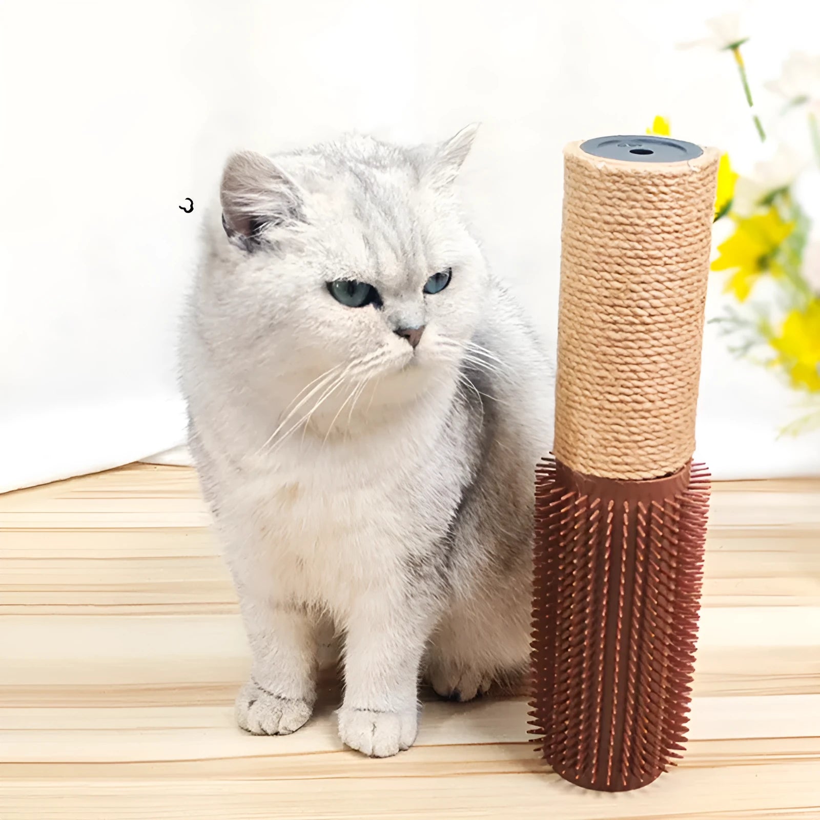 Brown sisal scratching post for cats showing 30cm height and textured rope surface