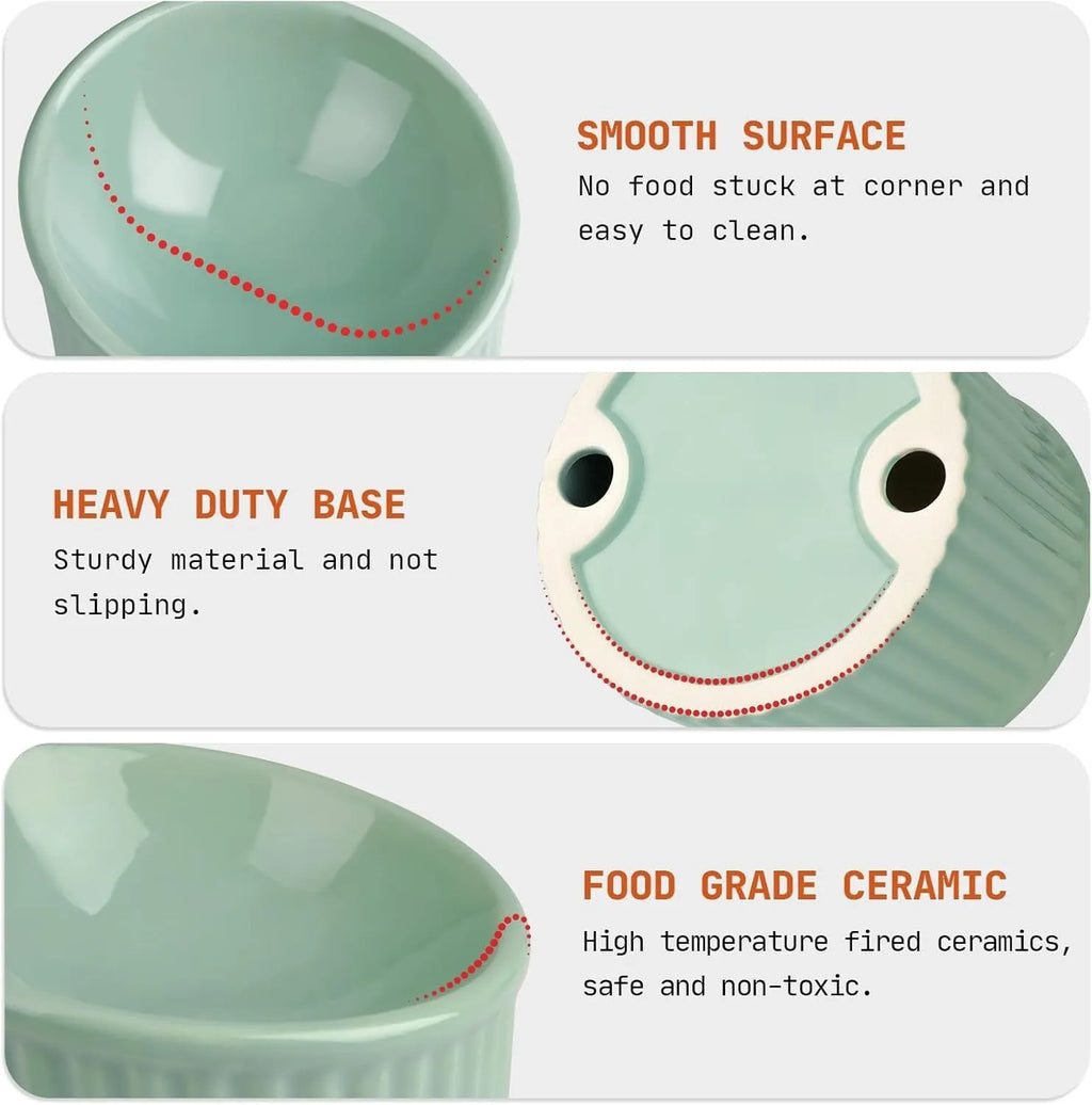Elevated ceramic cat bowl in green colour with tilted design for whisker-friendly feeding