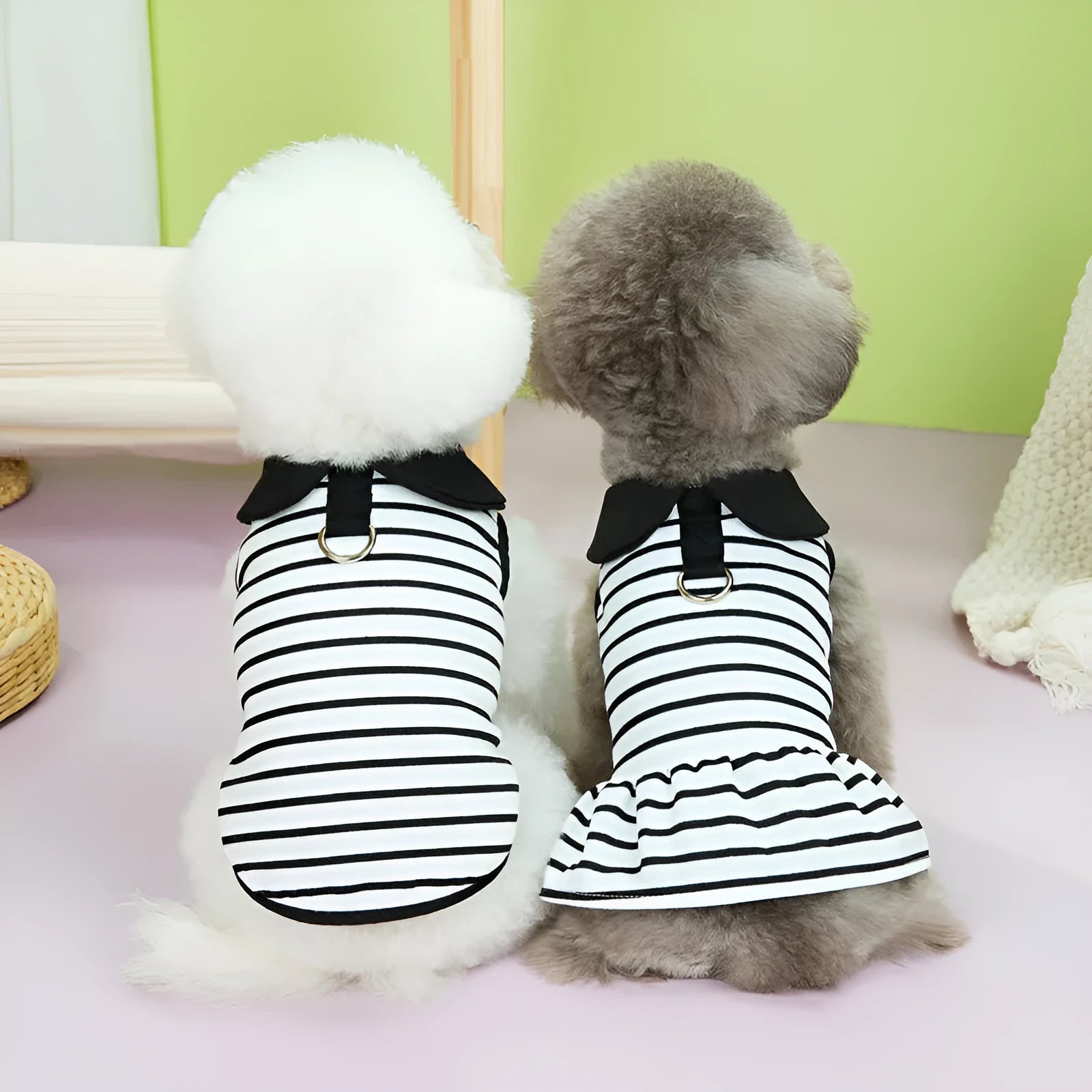 Pet wearing a striped cotton t-shirt and matching skirt summer outfit set