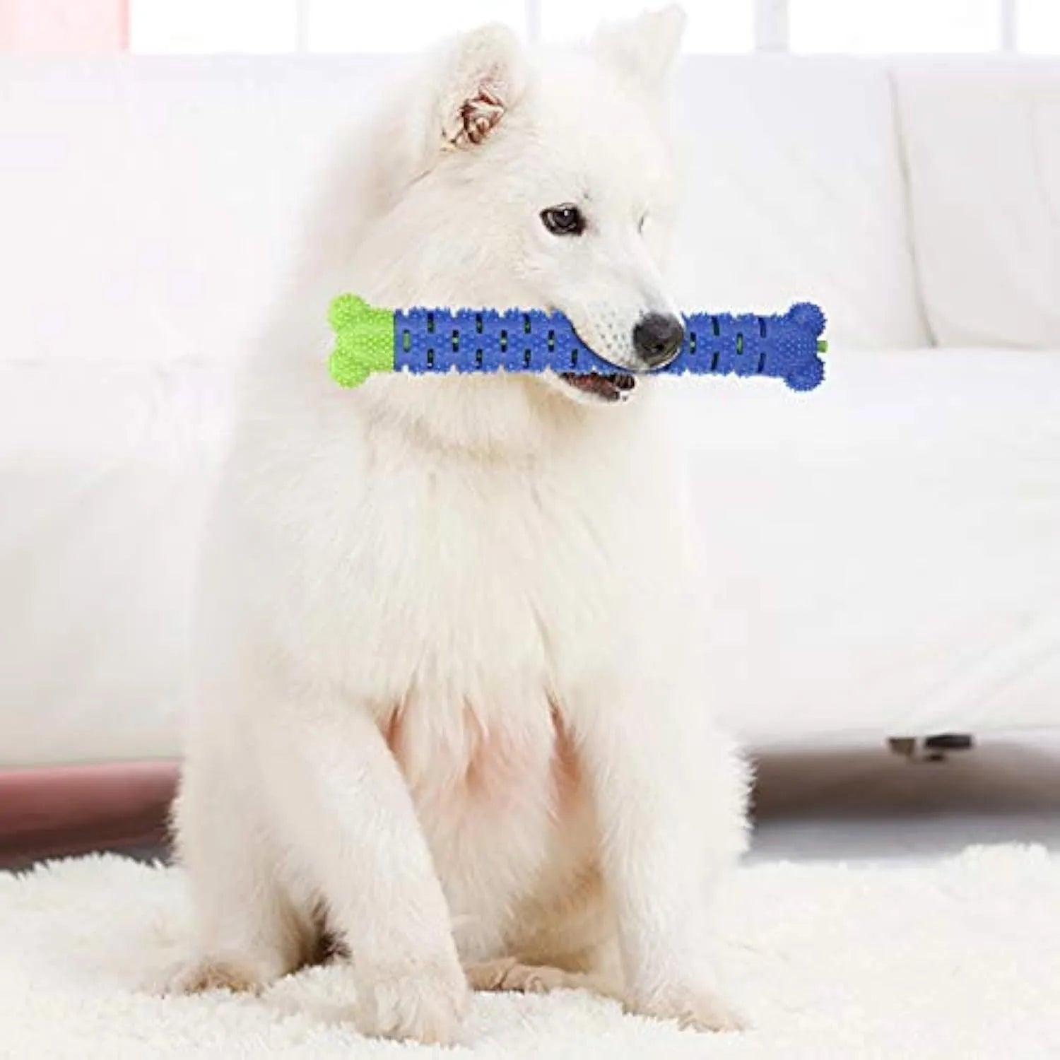 Blue and green dog dental chew toy with brush head texture and massage nodules, 25cm long