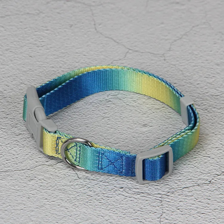Gradient colour nylon dog leash set with collar, bracelet, and chest strap options in pink/yellow and purple/green combinations