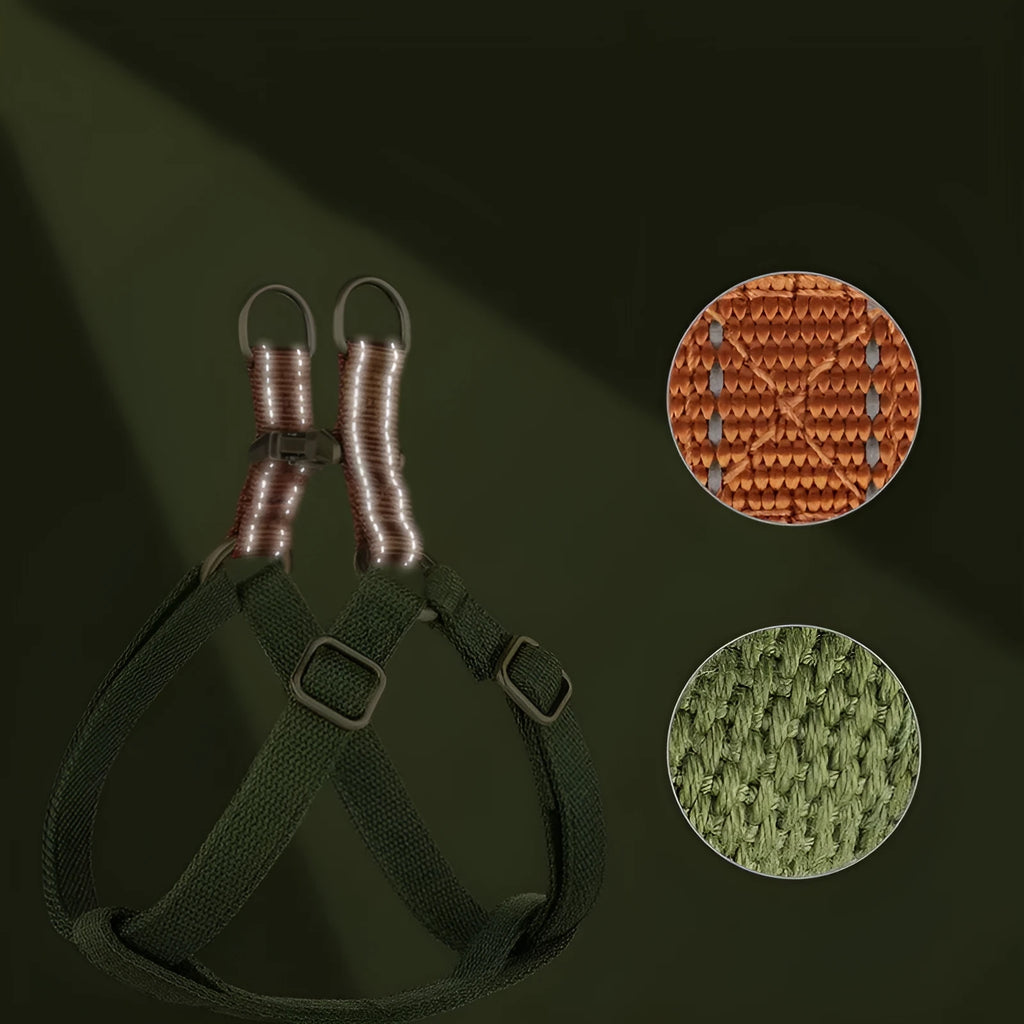 Brown vest-style dog leash with cotton belt and alloy fastener on a dog.