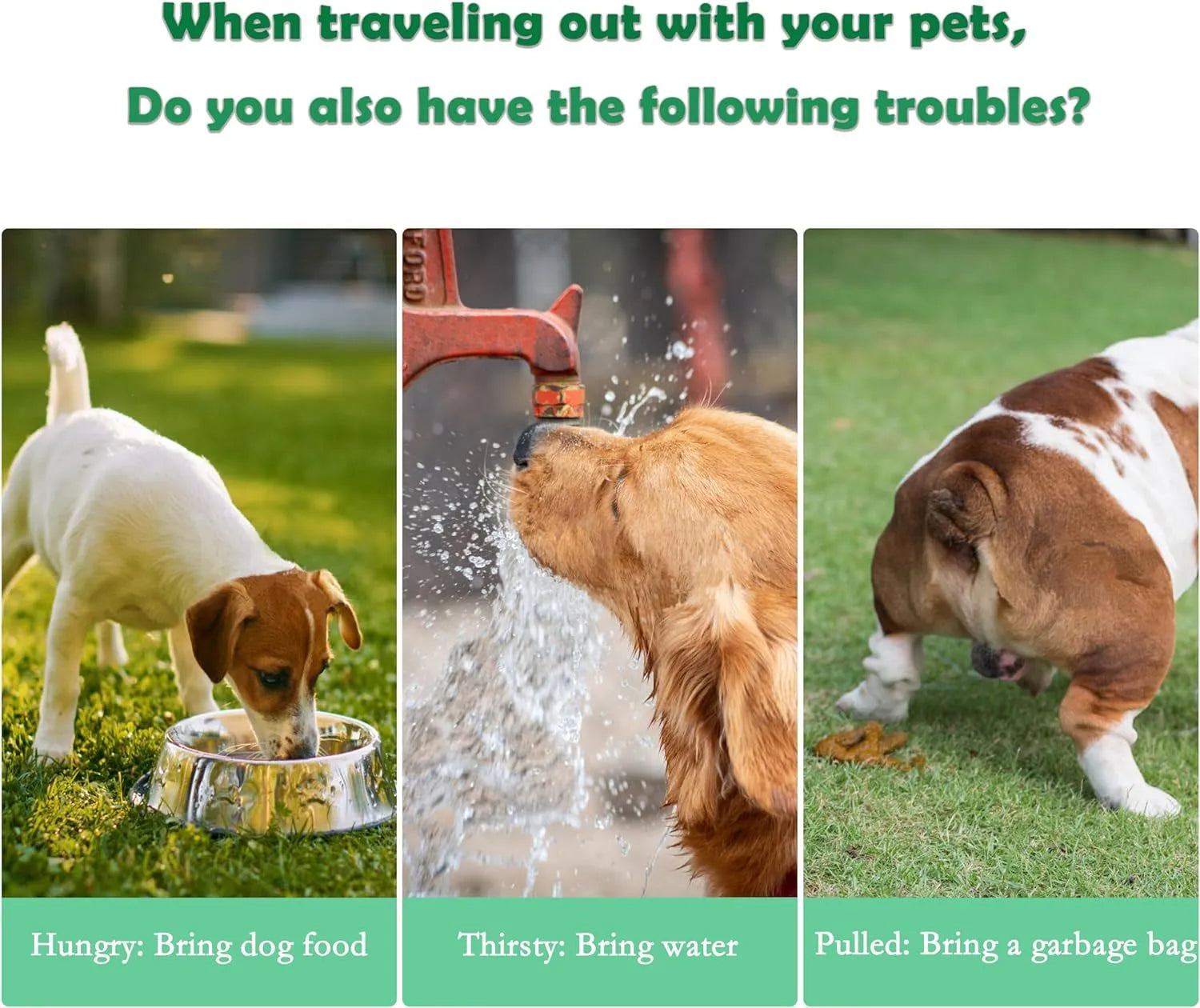 Green 3-in-1 portable pet water bottle with food container and waste bag dispenser, held by its hand strap.