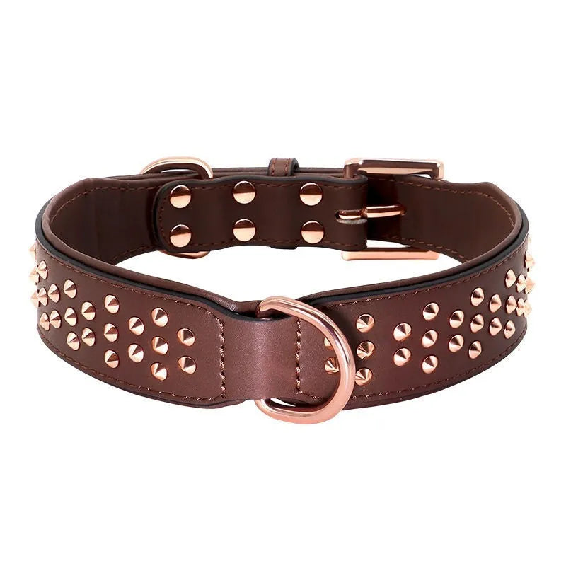 Leather dog collar in chocolate colour with visible rivets, shown on a large dog.