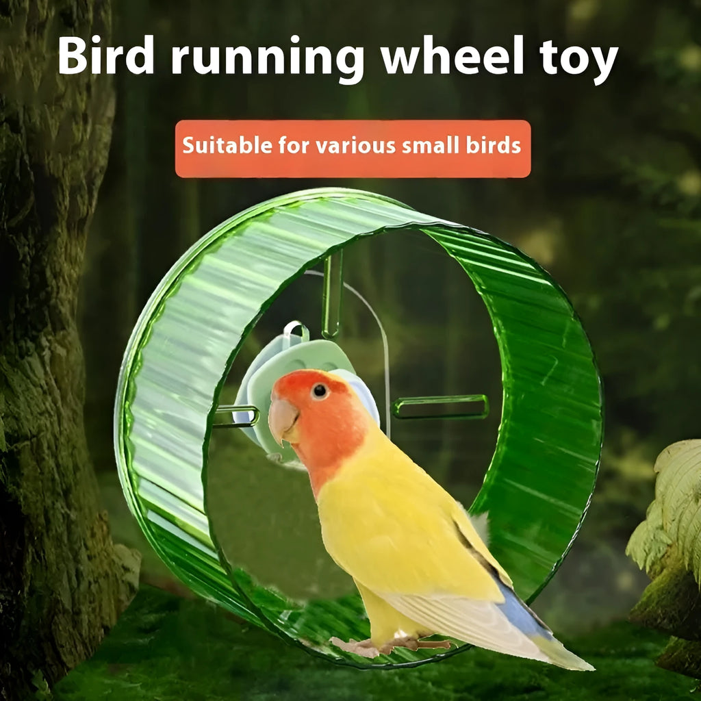 Parrot exercise wheel toy in transparent plastic with rotating mechanism for bird running activity