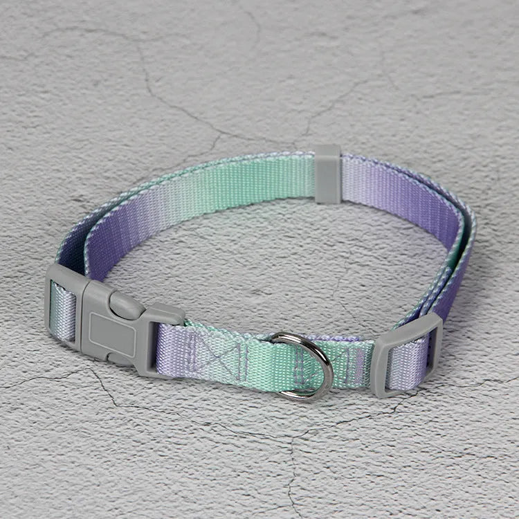 Gradient colour nylon dog leash set with collar, bracelet, and chest strap options in pink/yellow and purple/green combinations