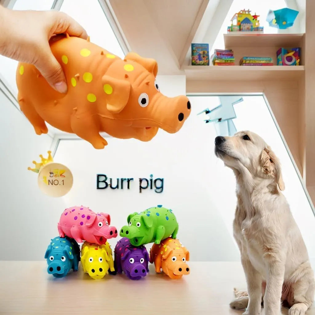Blue pig-shaped latex dog chew toy with a textured surface and squeaker.