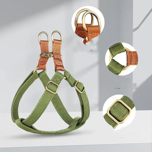 Brown vest-style dog leash with cotton belt and alloy fastener on a dog.