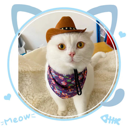 British-style non-woven fabric cowboy hat for a cat, shown in a brown colour with a black ribbon trim.