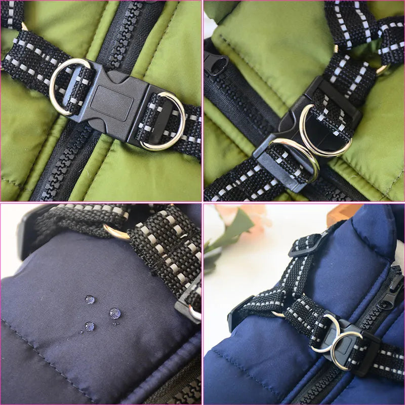 Red waterproof dog coat with integrated harness on a Labrador retriever