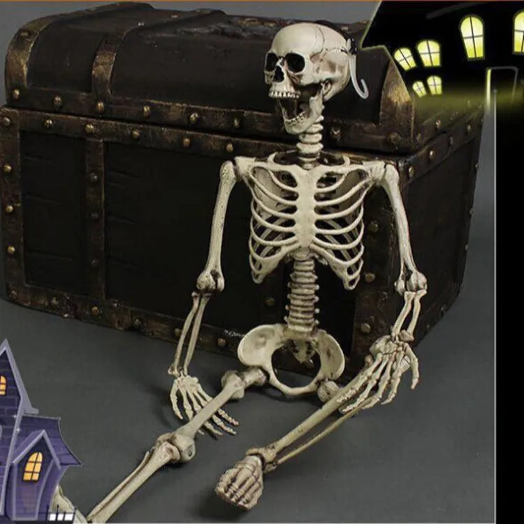 170cm tall white plastic human skeleton prop with articulated joints for posing