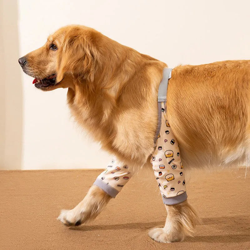 Blue dog elbow support wrap with extra padding and matching scarf on medium-sized dog