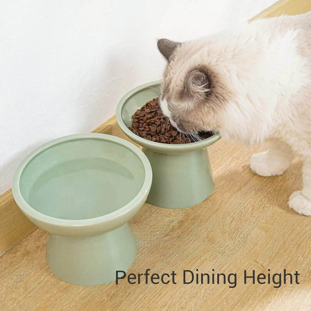 Blue wide ceramic elevated cat food bowl on a white background.