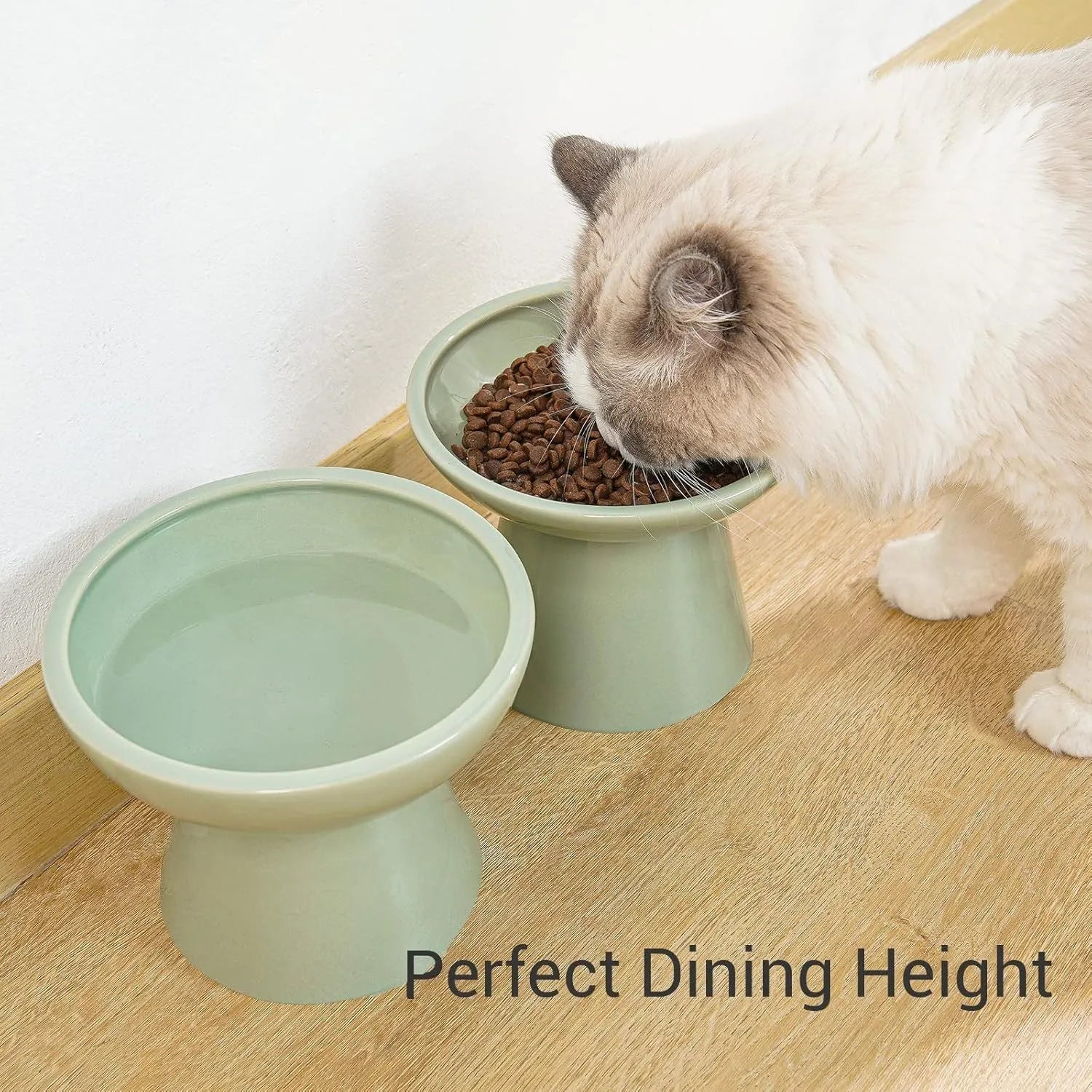 Blue wide ceramic elevated cat food bowl on a white background.