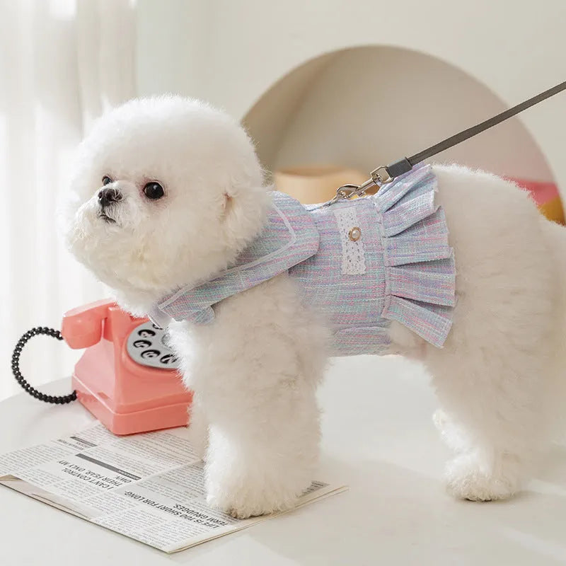 Salem purple polyester pet clothing for a small dog on a size chart showing S, M, L, XL.