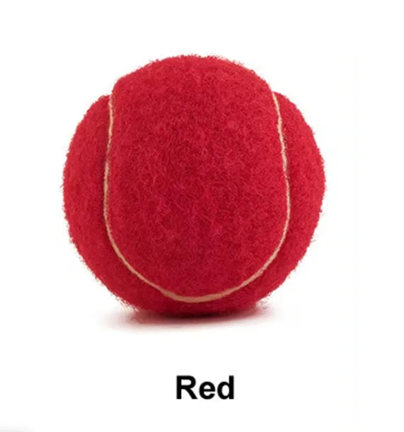 Colourful 6.3cm diameter rubber dog tennis ball toy in blue, green, pink, and red on a white background.