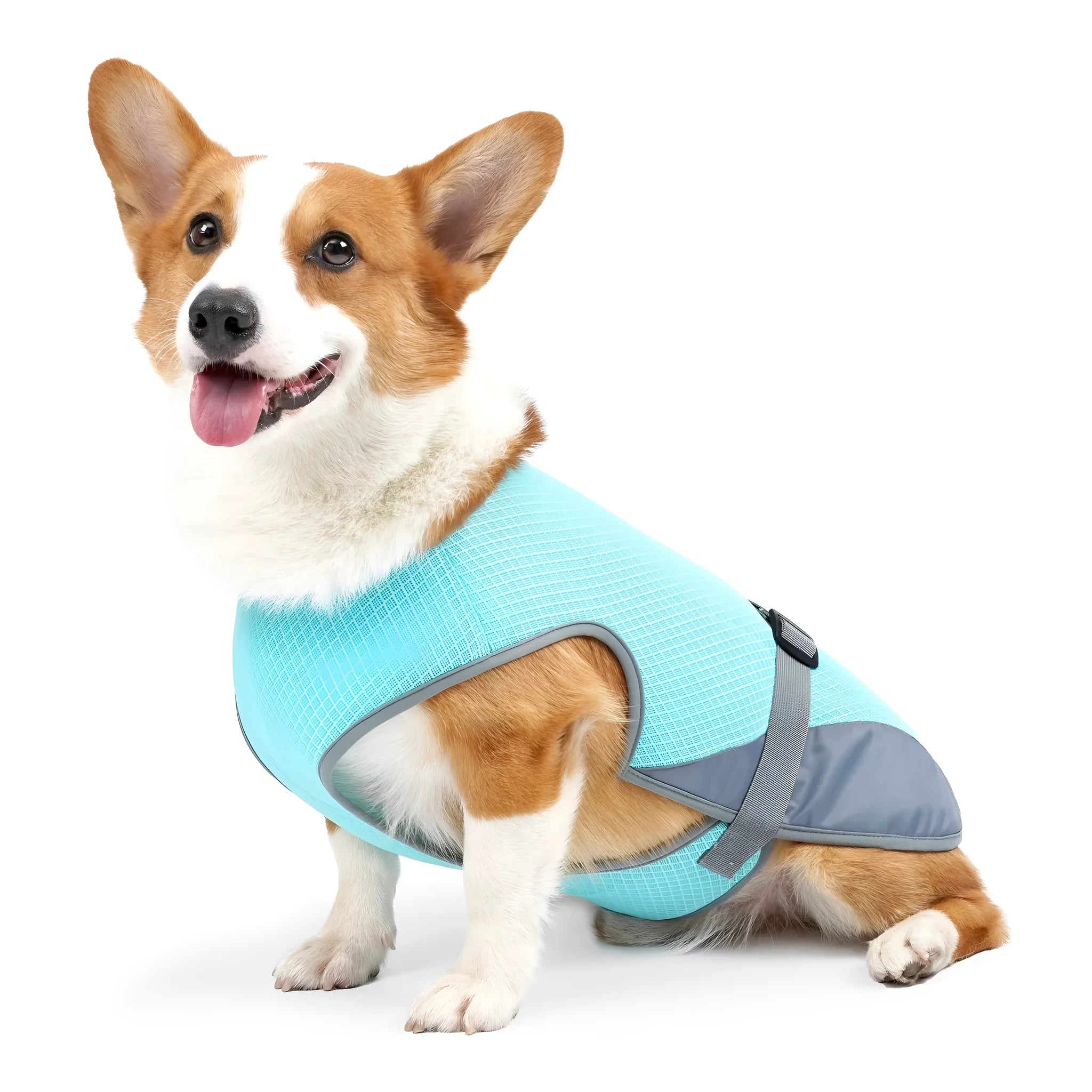 Polyester dog cooling vest in lake blue colour showing breathable fabric construction